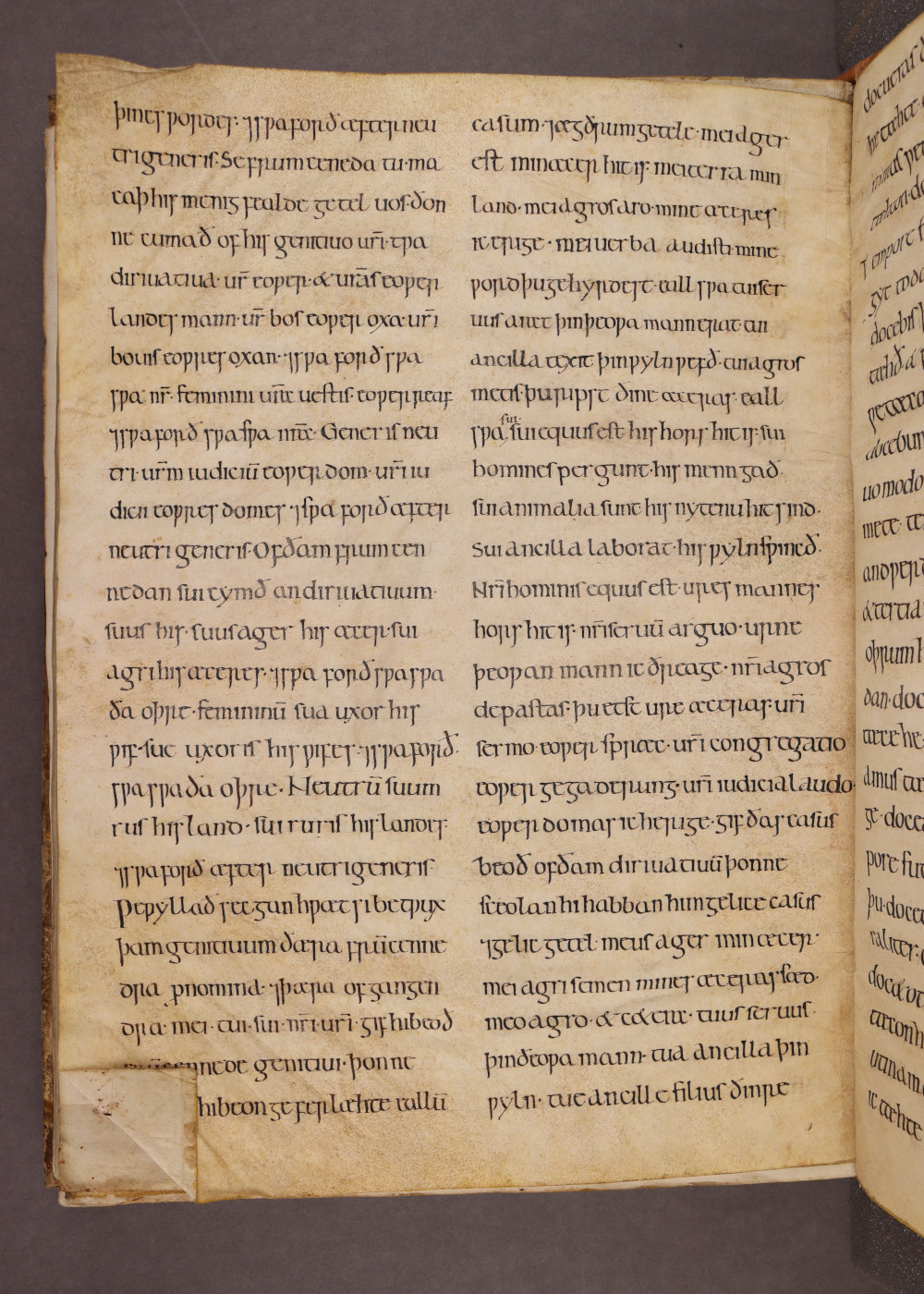 Folio IV  verso